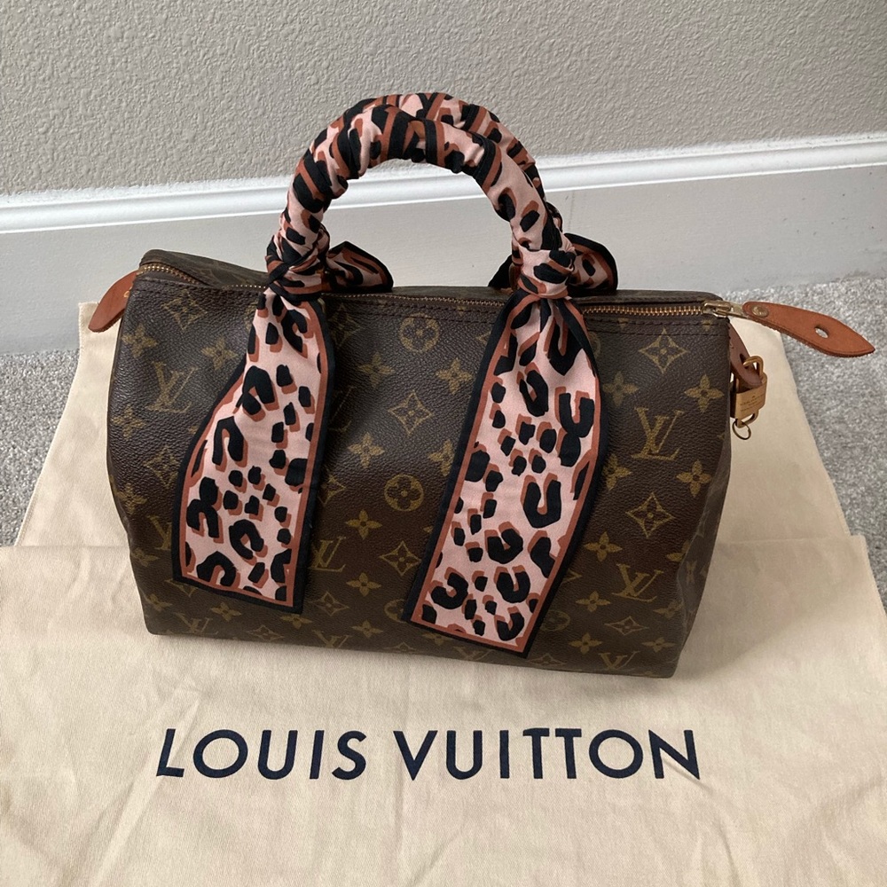 Louis Vuitton Speedy 30